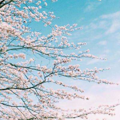 古风少女的华丽装扮2